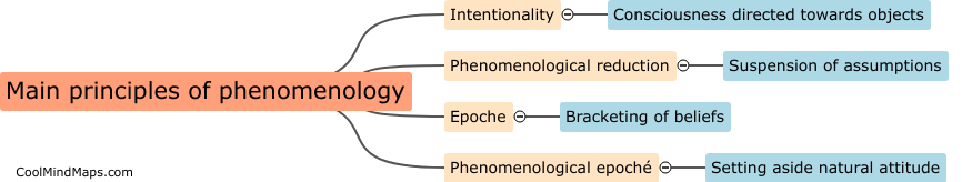 What are the main principles of phenomenology?