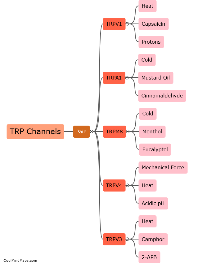Which TRP channels are involved in pain?