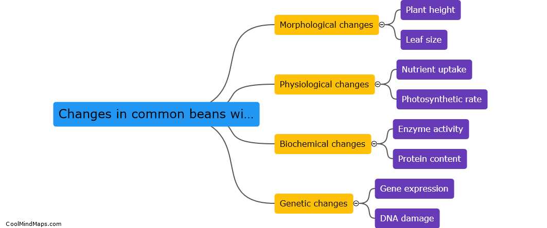 What changes occur in growth attributes of common beans with nanoparticles?