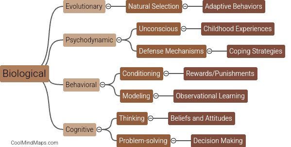 What are the major psychological approaches?