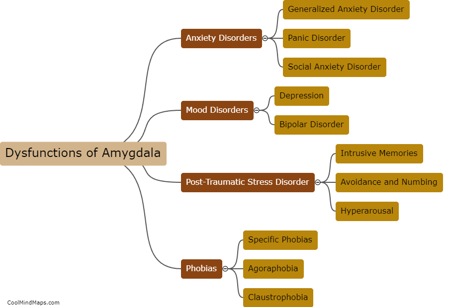 What are the dysfunctions of the amygdala?