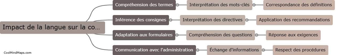 Impact de la langue sur la compréhension des contraintes administratives