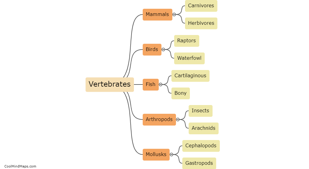 What are the classifications of animals?