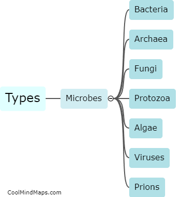 What are the different types of microbes?