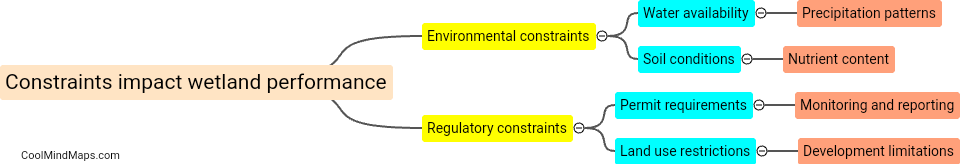 How do constraints impact wetland performance?