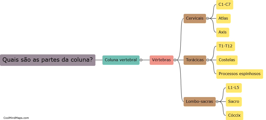 Quais são as partes da coluna?