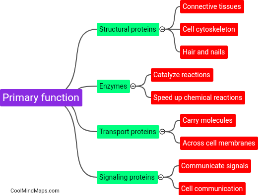 What is the primary function of proteins?