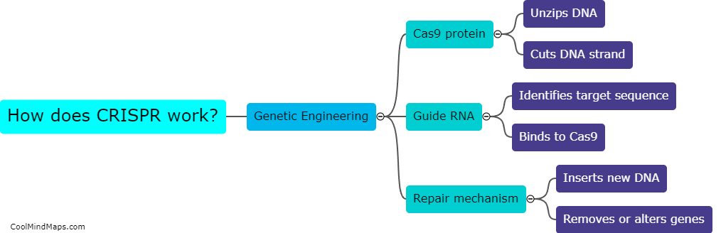 How does CRISPR work?
