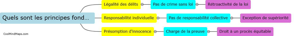 Quels sont les principes fondamentaux du droit pénal belge?