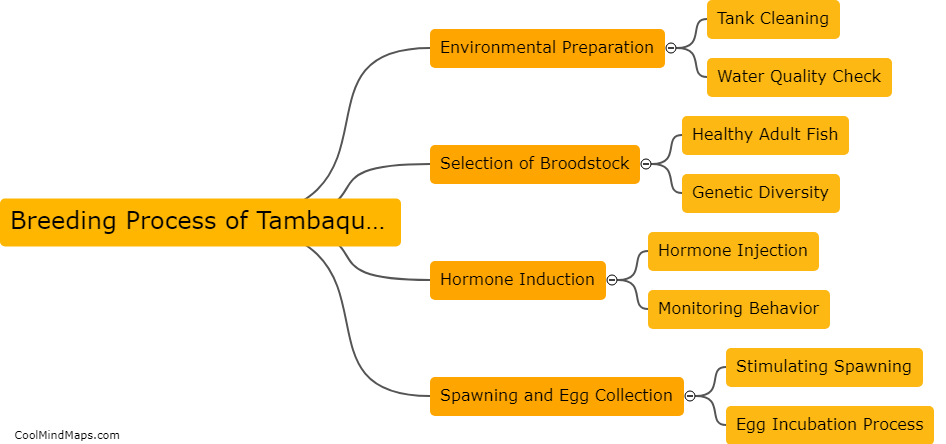 What is the breeding process of Tambaqui fish?