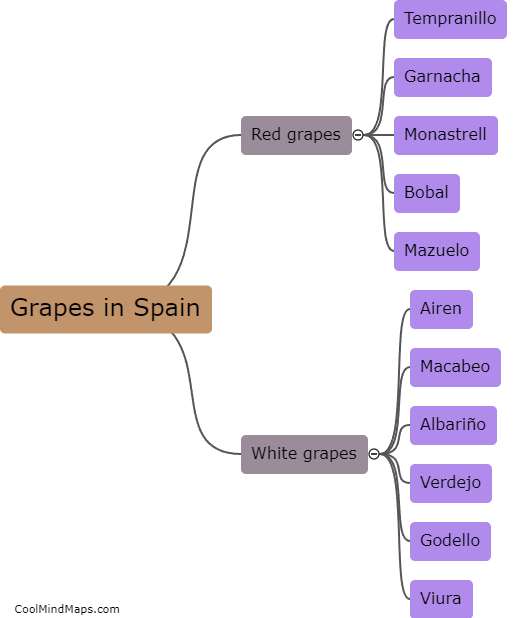 What are the popular grape varieties in Spain?