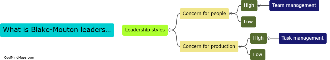 What is Blake-Mouton leadership grid explanation?