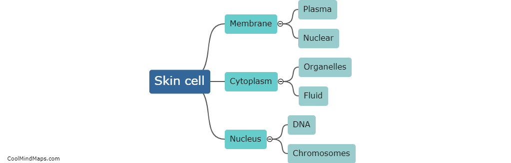 What are the different parts of a skin cell?