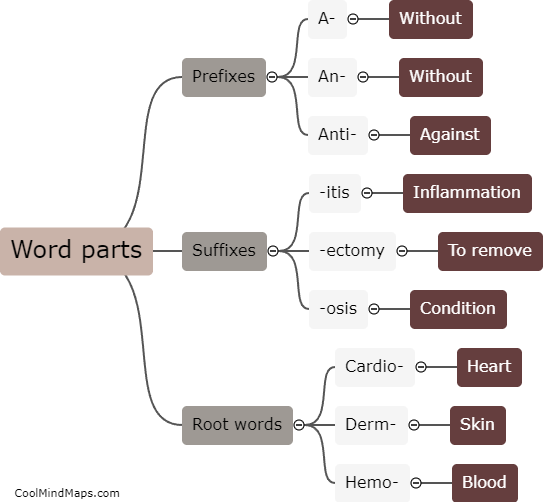 What are the different word parts used in medical terminology?