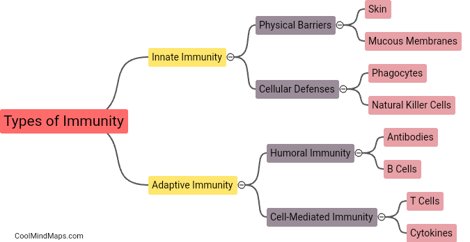 What are the different types of immunity?