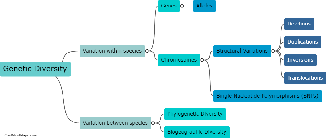 What is genetic diversity?