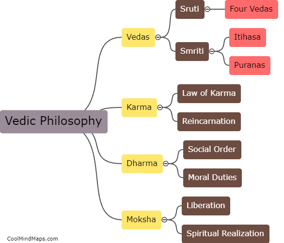 What are the key features of Vedic philosophy?
