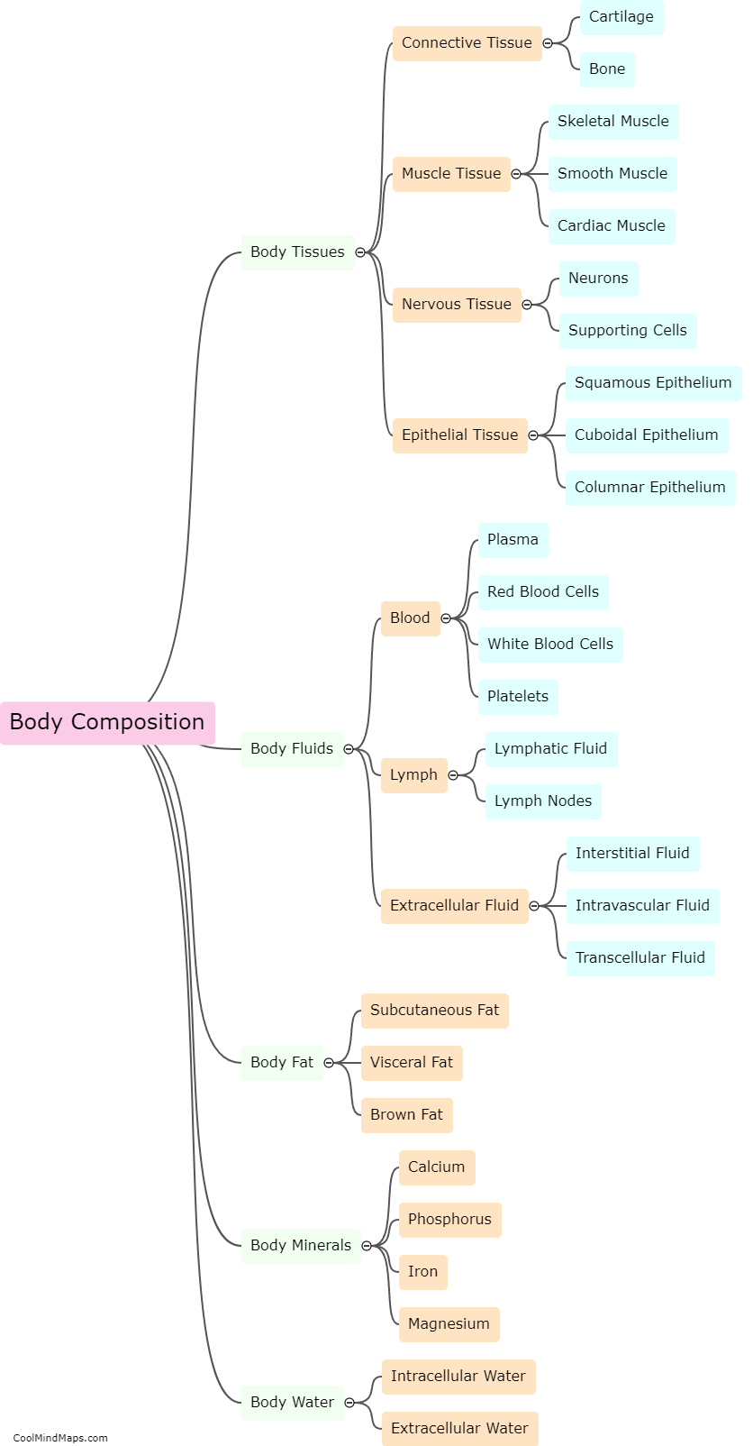 What is the composition of a body?