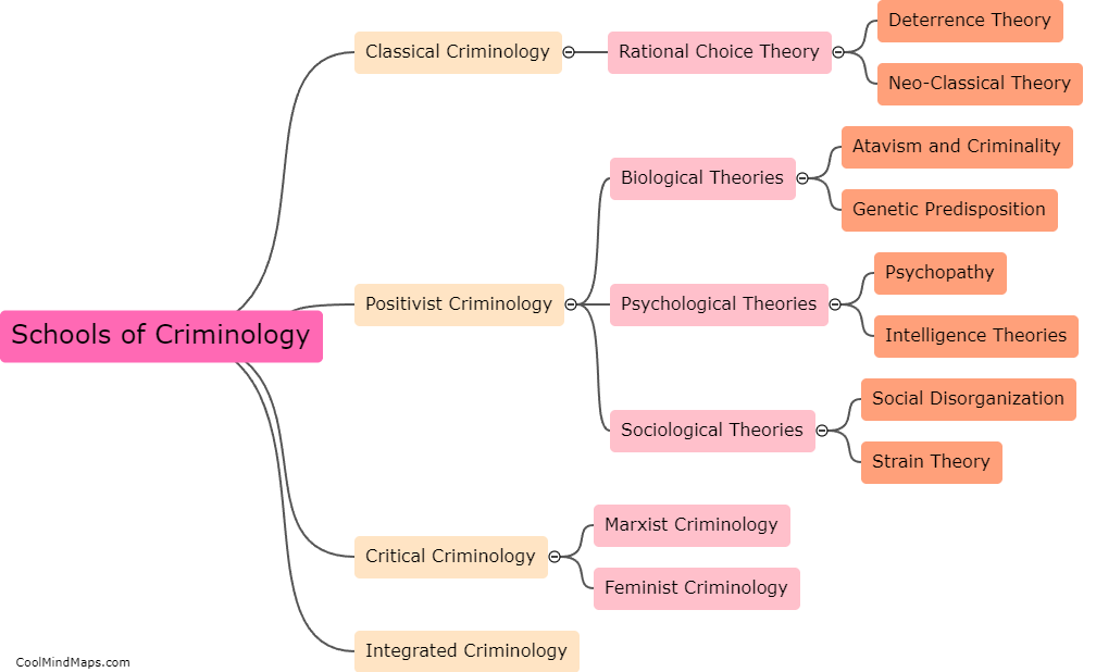 What are the schools of criminology?