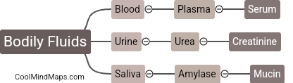 What are the main types of bodily fluids?