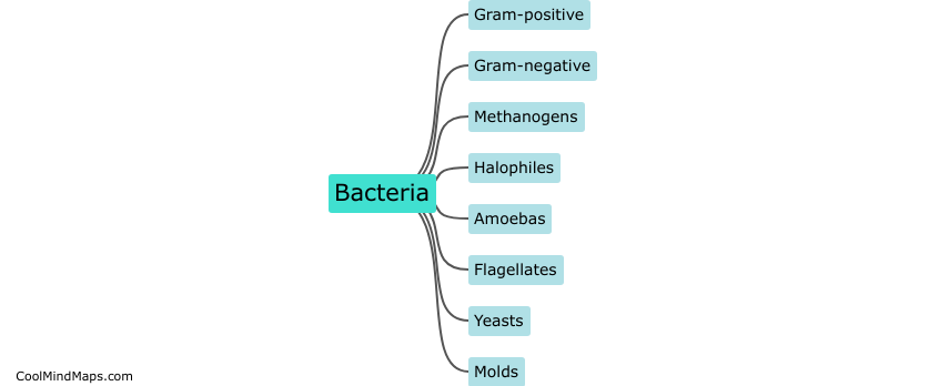 What are the types of microorganisms?