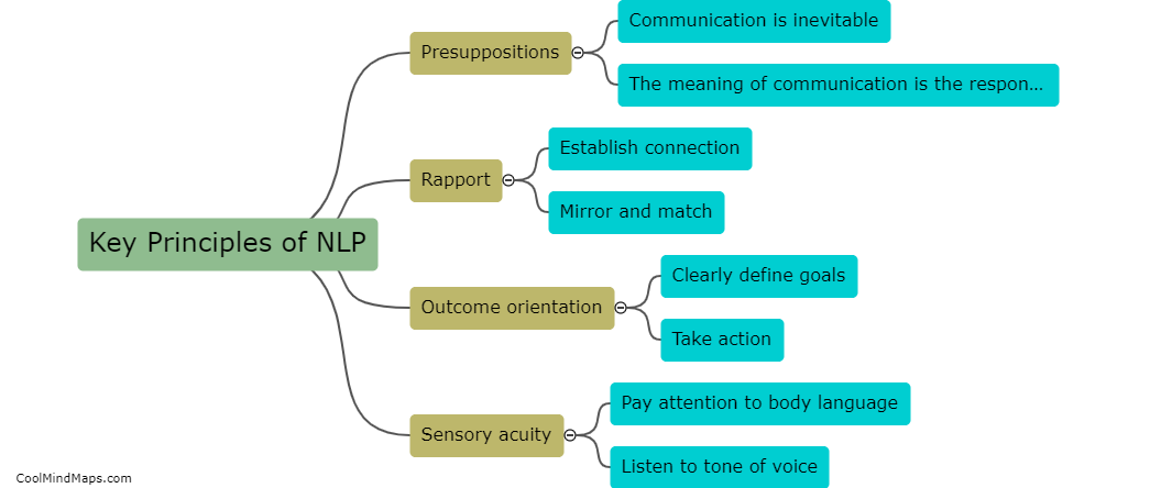 What are the key principles of NLP?