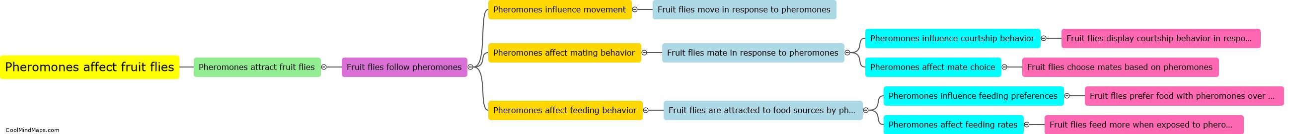 How do pheromones affect the behavior of fruit flies?