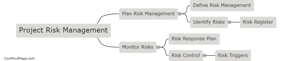 What are the steps in project risk management?