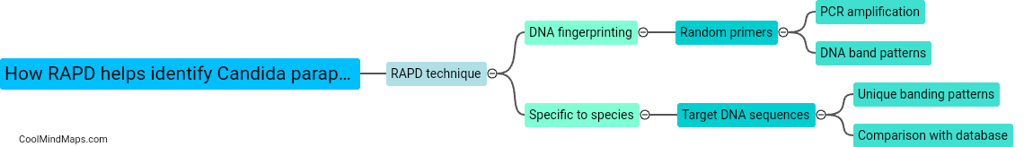 How does RAPD help in identifying Candida parapsilosis?