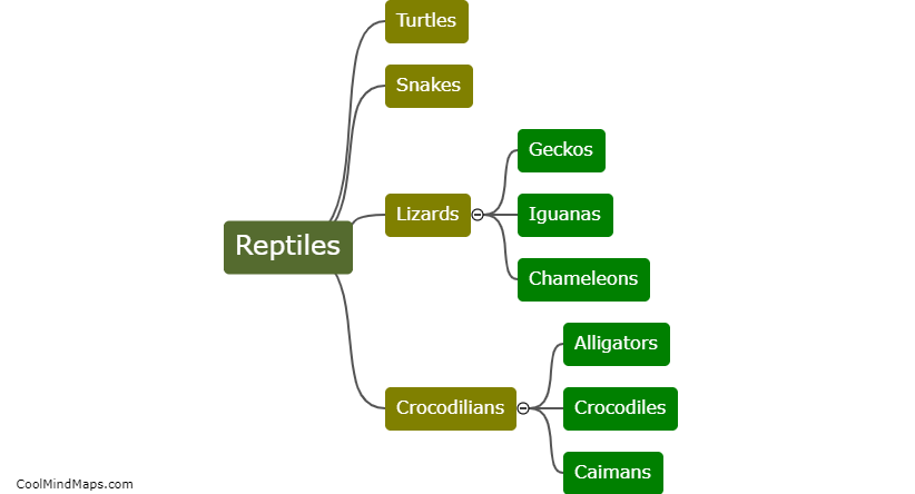 What are the different types of reptiles?