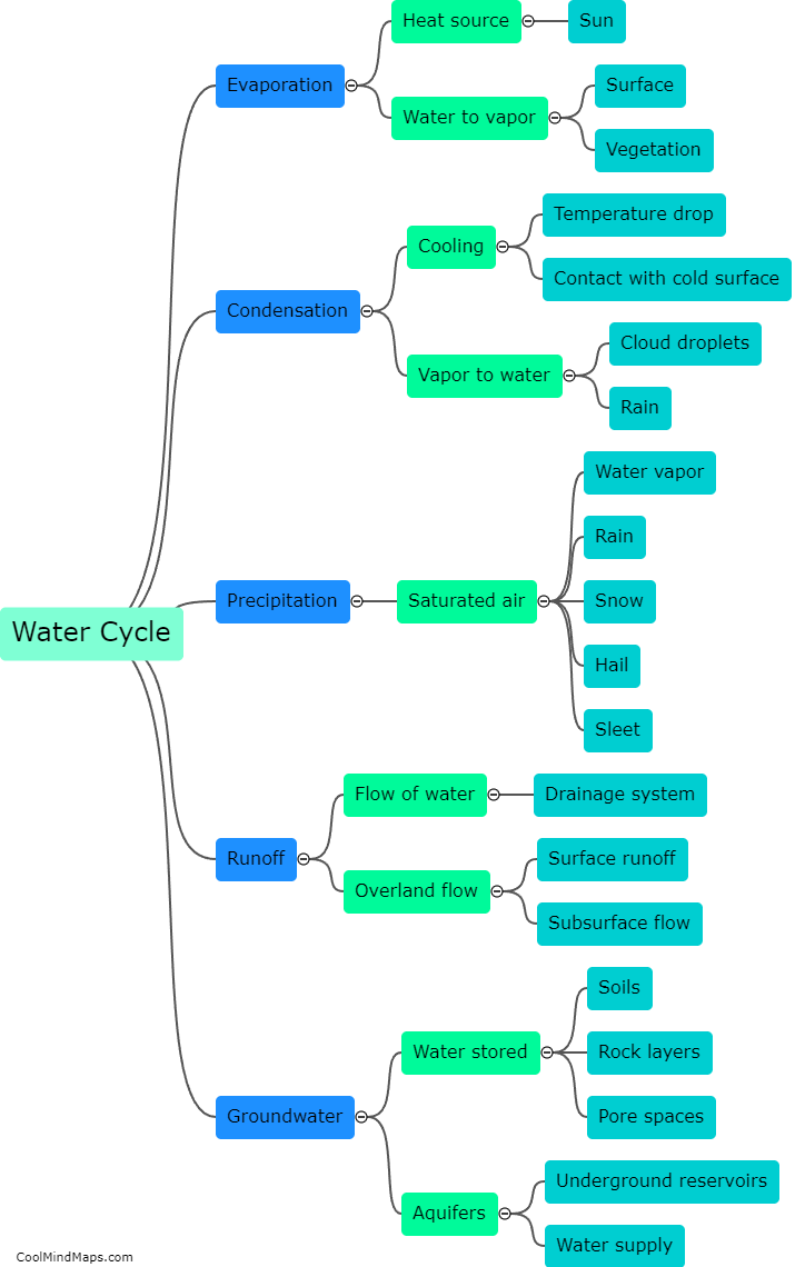 What are the steps of the water cycle?