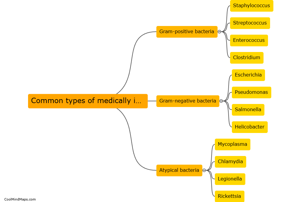 What are the common types of medically important bacteria?