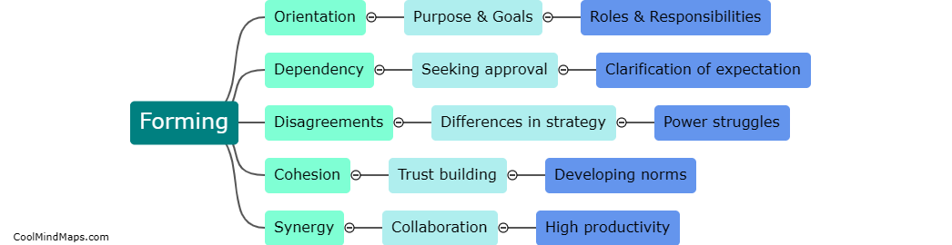 What are the stages of team development?