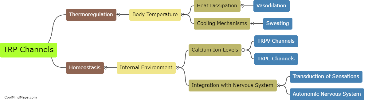 How do TRP channels impact thermoregulation and body homeostasis?