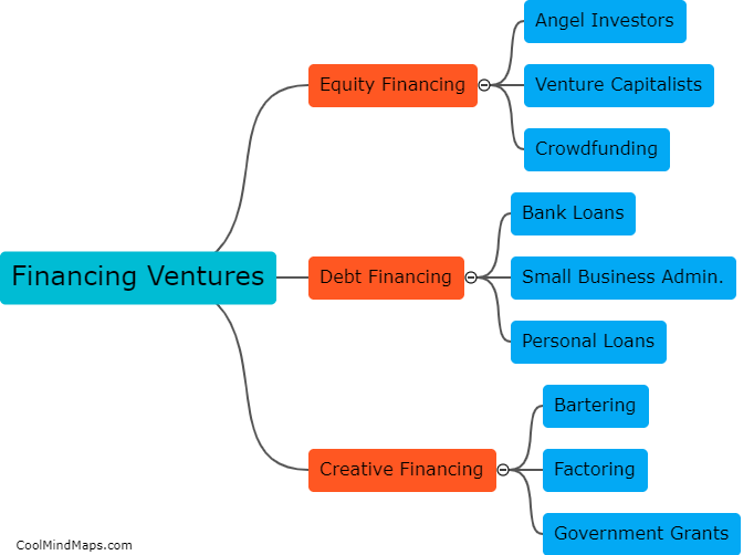 How do entrepreneurs finance their ventures?