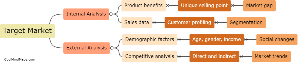 How does a company determine their target market?