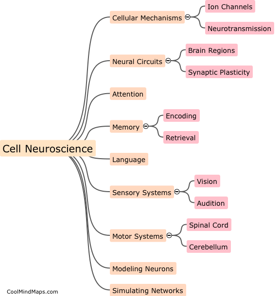 What are the main branches of neuroscience?