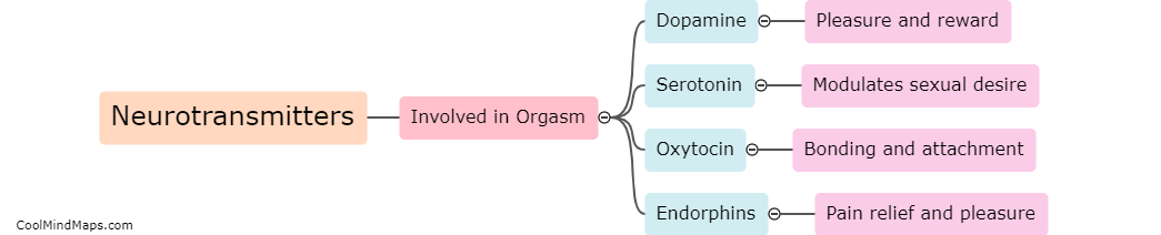 What neurotransmitters are involved in orgasm?