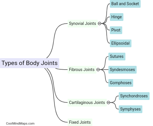 What are the types of body joints?