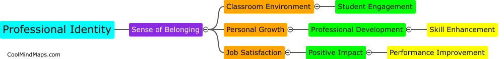 How does professional identity affect teacher job performance?