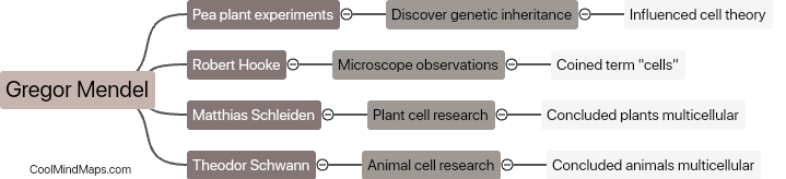 What experiments helped develop cell theory?