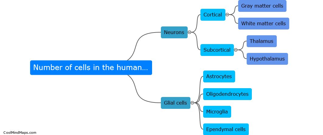 What is the number of cells in the human brain?