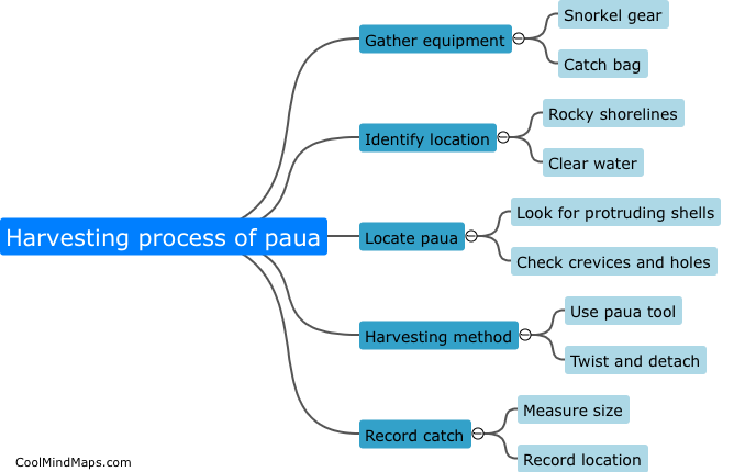 What is the harvesting process of paua?