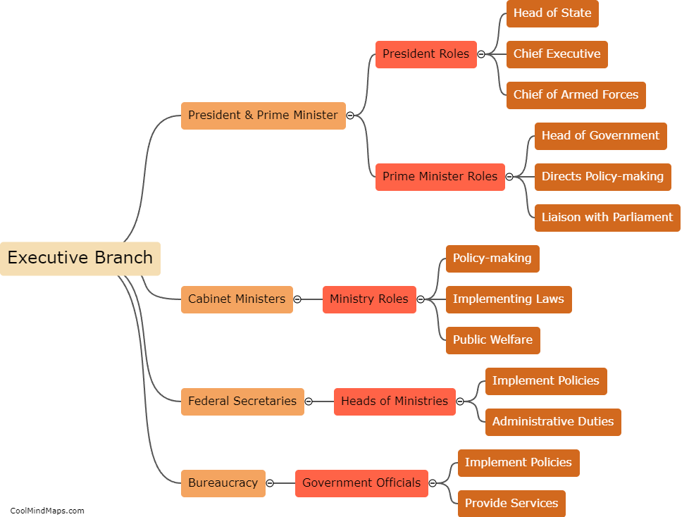 What is the structure of the executive branch in Pakistan?