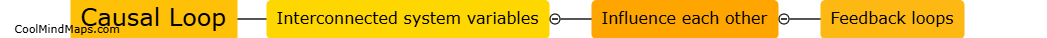 What is causal loop?