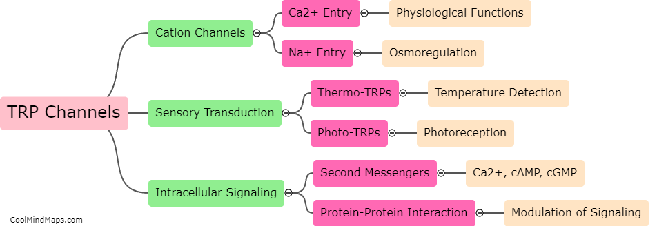 What are the general functions of TRP channels?