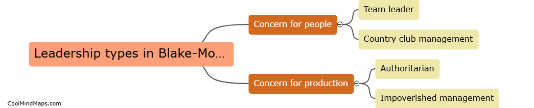 What are the leadership types in Blake-Mouton grid?