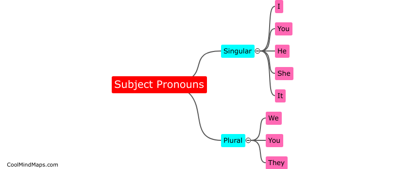 What are subject pronouns?