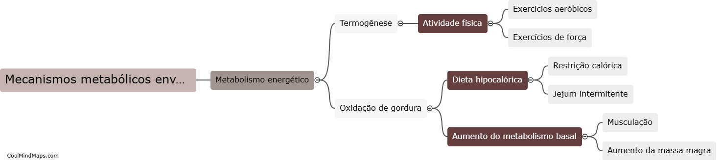 Quais são os mecanismos metabólicos envolvidos no emagrecimento?