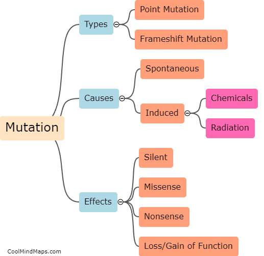 What is a mutation?